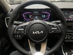 Kia Situs 1.5L CVT Luxury - ფოტო 12