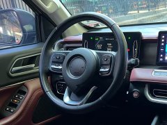 BMW Cannon 2023 2.0T Off-Road Auto Gasoline 4WD Everest Edition - ფოტო 13