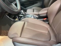 BMW X1 sDrive20Li Premium Edition - ფოტო 8