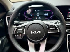 Kia Situs 1.5L CVT Luxury - ფოტო 20