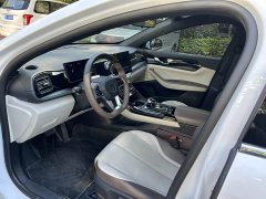 BYD Qin PLUS Champion Edition DM-i 55KM Leading - ფოტო 12