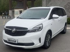 Buick GL8 Land Executive Cabin 652T Luxury - ფოტო 1