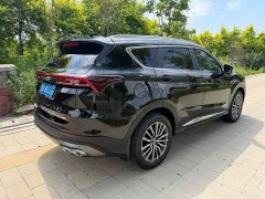 Jetour Jietu X70 PLUS 1.5T DCT Brave PLUS 7-Seater - ფოტო 9