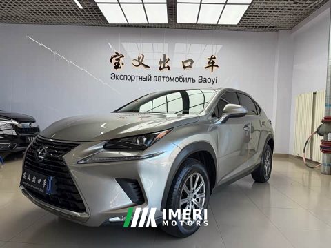2021 Lexus NX 2020 200 FWD Sharp Edition National VI - ავტომობილი ჩინეთიდან