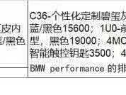 BMW M4 Coupe Thunder Edition - ფოტო 20