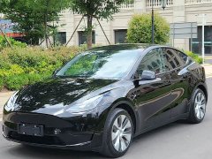 Tesla Model Y Rear-Wheel Drive - ფოტო 1