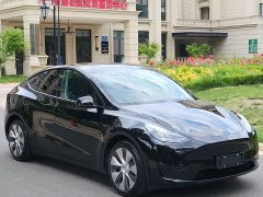 Tesla Model Y Rear-Wheel Drive - ფოტო 3