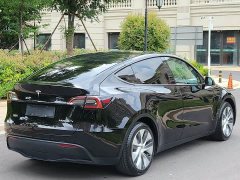 Tesla Model Y Rear-Wheel Drive - ფოტო 9