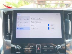 Toyota Alphard 3.5L Luxury Edition - ფოტო 15