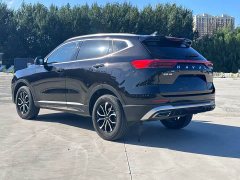 Haval H6 National Trend Edition 1.5T Automatic Urban Version - ფოტო 9