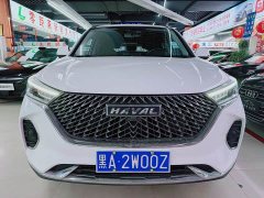 Haval M6 2021 PLUS 1.5T DCT Comfort Edition - ფოტო 2
