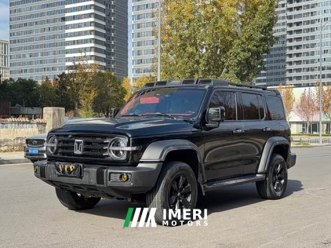 2021 Tank 300 Off-Road Edition 2.0T Conqueror - ავტომობილი ჩინეთიდან
