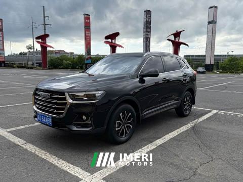 2023 Haval H6 National Trend Edition 1.5T Automatic Urban Version