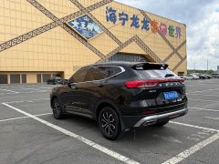Haval H6 2021 National Trend Edition 1.5T Automatic Urban Version - ფოტო 6