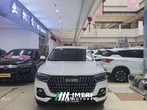 2023 Haval H6 National Trend Edition 1.5T Automatic Urban Version