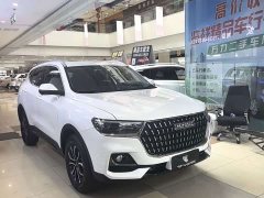 Haval H6 National Trend Edition 1.5T Automatic Urban Version - ფოტო 3