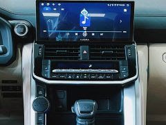 Toyota Land Cruiser (Imported) 4.0L Automatic - ფოტო 12