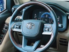 Toyota Land Cruiser (Imported) 4.0L Automatic - ფოტო 14