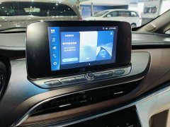 Buick GL8 Land Official Business Class 652T Comfort Edition - ფოტო 10