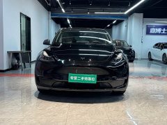Tesla Model Y Standard Range RWD - ფოტო 1