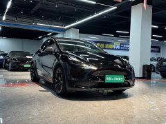 Tesla Model Y Standard Range RWD - ფოტო 2
