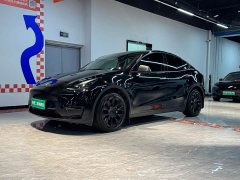 Tesla Model Y Standard Range RWD - ფოტო 3