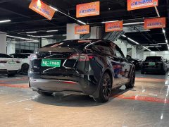 Tesla Model Y Standard Range RWD - ფოტო 6