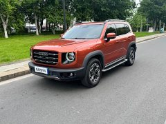 Great Wall Haval Big Dog Dachshund 2.0T DCT Four-Wheel Drive Chinese Rural Dog Edition - ფოტო 1