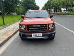 Great Wall Haval Big Dog Dachshund 2.0T DCT Four-Wheel Drive Chinese Rural Dog Edition - ფოტო 2