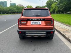 Great Wall Haval Big Dog Dachshund 2.0T DCT Four-Wheel Drive Chinese Rural Dog Edition - ფოტო 5