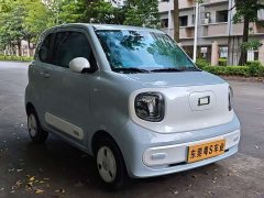 FAW Besturn Xiaoma 222km Dynamic Edition - ფოტო 3