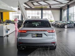 Porsche Cayenne 2020 Cayenne 3.0T - ფოტო 18