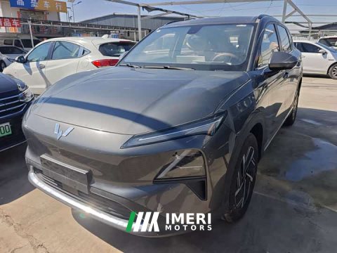 2026 Wuling Xingguang S 2025 130km Pilot Edition - ავტომობილი ჩინეთიდან