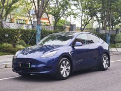 Tesla Model Y Rear-Wheel Drive - ფოტო 1