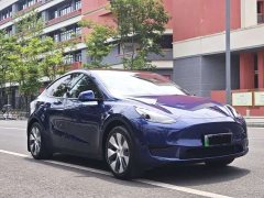 Tesla Model Y Rear-Wheel Drive - ფოტო 2