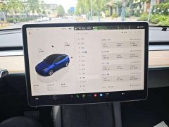 Tesla Model Y Rear-Wheel Drive - ფოტო 6