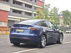 Tesla Model Y Rear-Wheel Drive - ფოტო 8