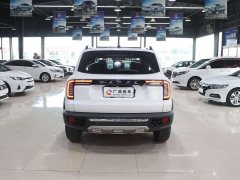 Great Wall Dachshund 2021 2.0T DCT Two-Wheel Drive Chinese Hunting Dog Edition - ფოტო 6