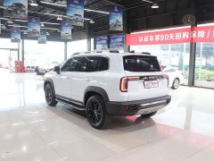 Great Wall Dachshund 2021 2.0T DCT Two-Wheel Drive Chinese Hunting Dog Edition - ფოტო 7