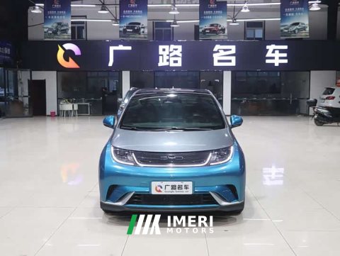 2023 BYD Dolphin 401km Knight Edition - ავტომობილი ჩინეთიდან