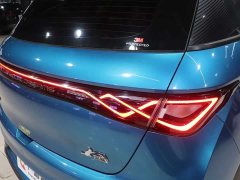BYD Dolphin 401km Knight Edition - ფოტო 16