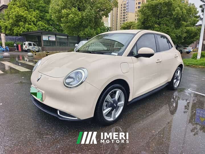 ORA Good Cat 401km Standard Range Luxury LFP