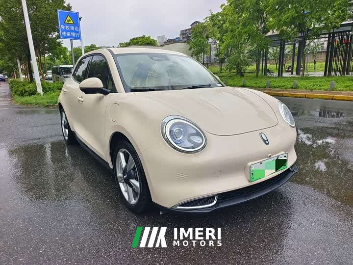 ORA Good Cat 401km Standard Range Luxury LFP