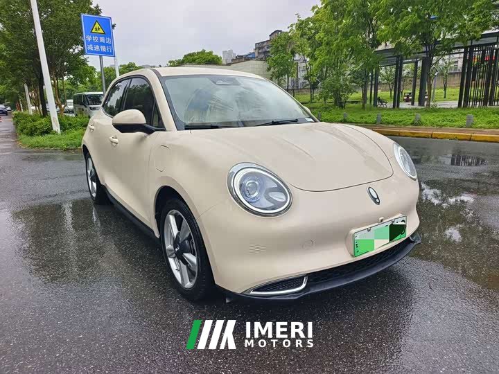 ORA Good Cat 401km Standard Range Luxury LFP - ავტომობილი ჩინეთიდან