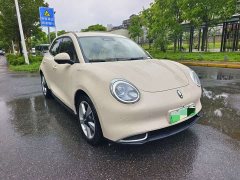 ORA Good Cat 401km Standard Range Luxury LFP - ფოტო 1