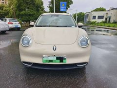 ORA Good Cat 401km Standard Range Luxury LFP - ფოტო 2