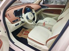 ORA Good Cat 401km Standard Range Luxury LFP - ფოტო 6