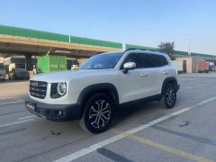 Great Wall Haval Big Dog Dachshund 2022 1.5T DCT Two-Wheel Drive Border Collie Edition - ფოტო 1