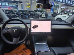 Tesla Model Y 2022 Performance All-Wheel Drive - ფოტო 10