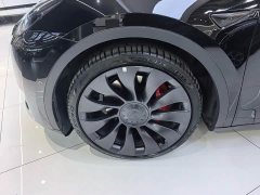 Tesla Model Y 2022 Performance All-Wheel Drive - ფოტო 12